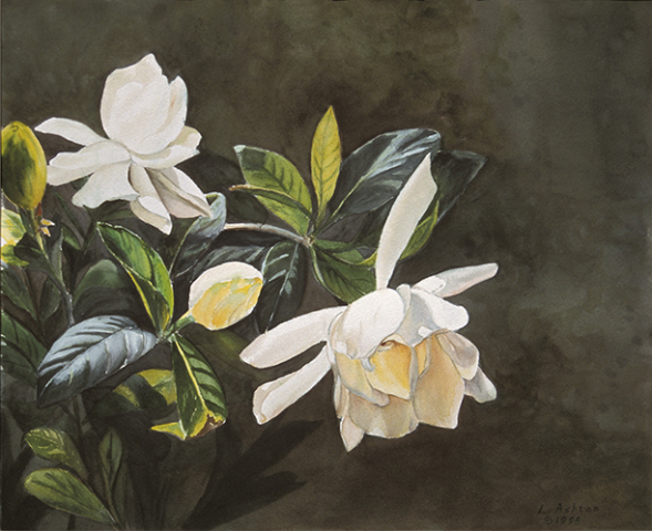 gardenia blossoms