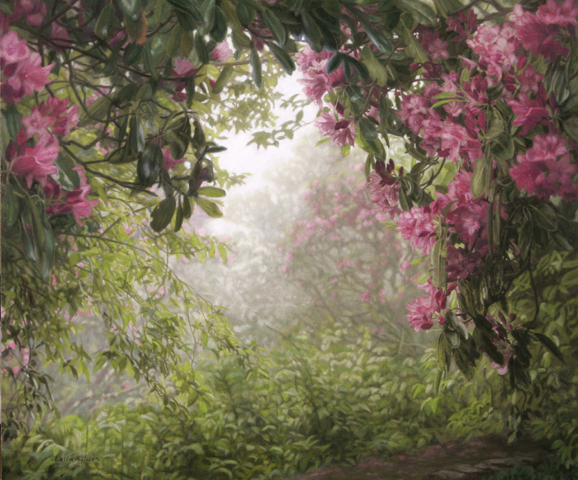 Rhododendron blossoms framing forest trail