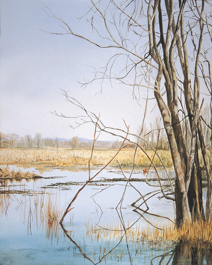 Watercolor of an Alabama marsh in winter with trees