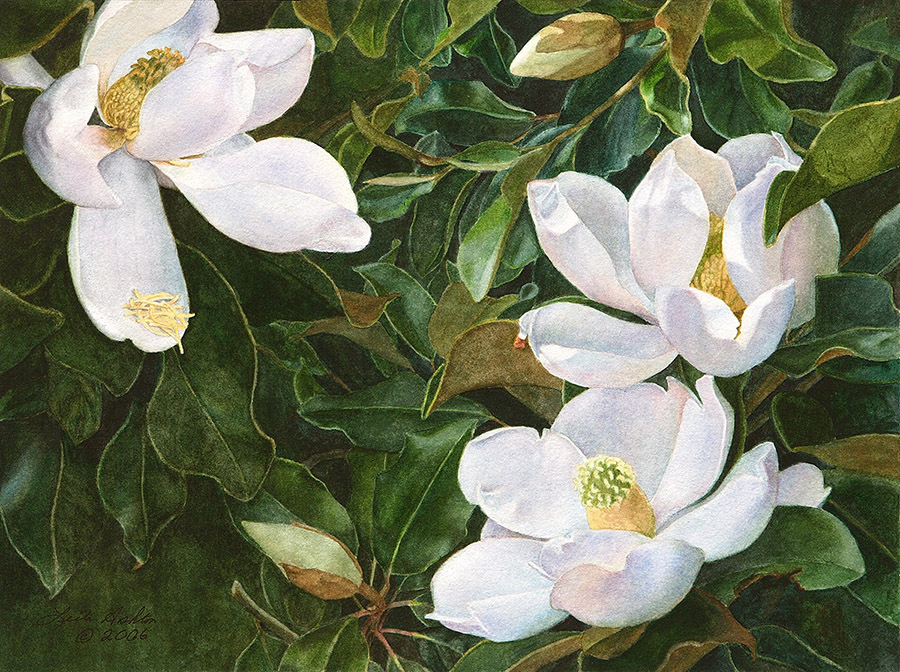 Watercolor of white magnolia blossoms against green leaves