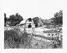 Pen and Ink drawing of old barn with fence, weeds