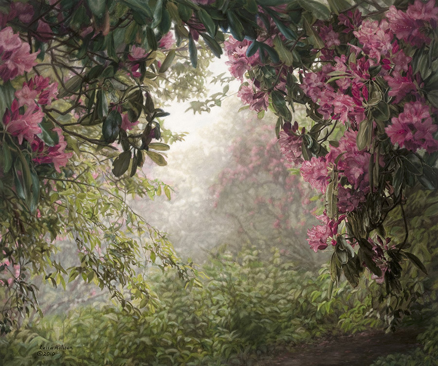 Pink rhododendron flowers along forest trail in mist. Pastel.