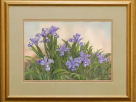 Watercolor painting of wild iris original framed