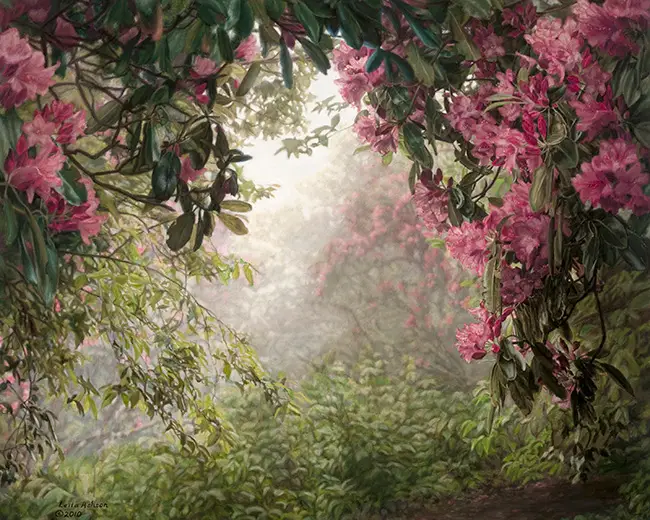Pink rhododendron along trail