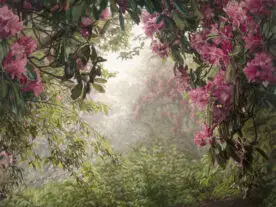 Pink rhododendrons along a trail